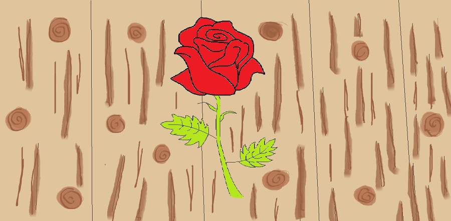 DÚ - růže
