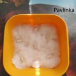 Pavlínka1